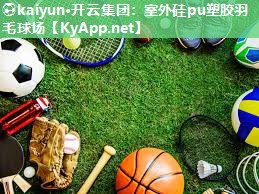⚽kaiyun·开云集团：室外硅pu塑胶羽毛球场