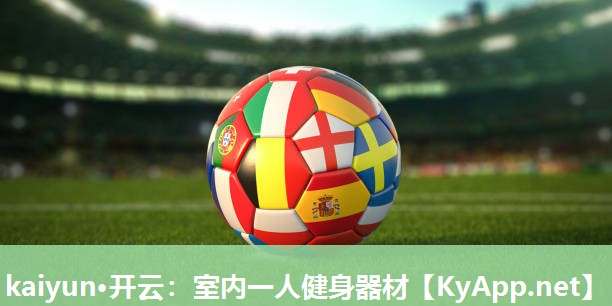 kaiyun·开云：室内一人健身器材