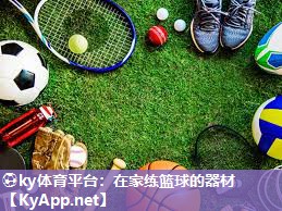 ⚽ky体育平台：在家练篮球的器材