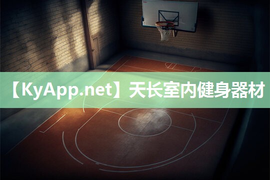 天长室内健身器材