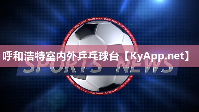 呼和浩特室内外乒乓球台