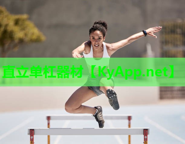 直立单杠器材