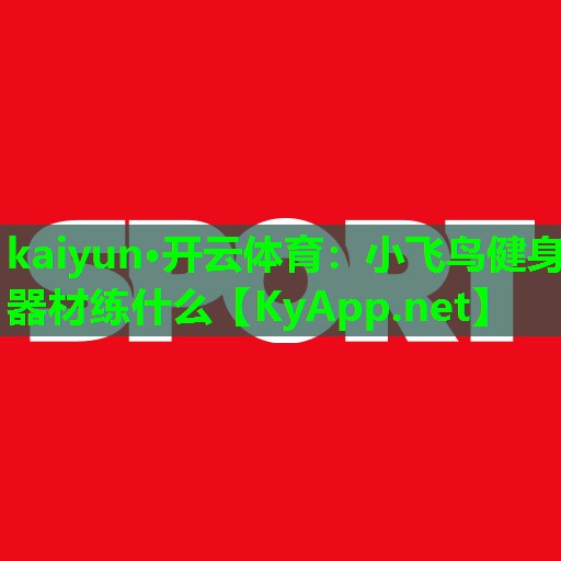 kaiyun·开云体育：小飞鸟健身器材练什么