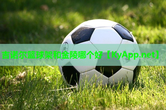 吉诺尔篮球架和金陵哪个好