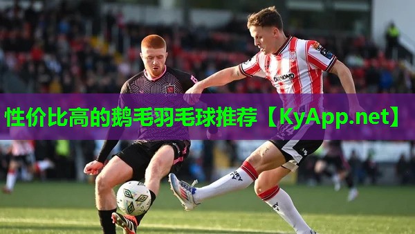 性价比高的鹅毛羽毛球推荐