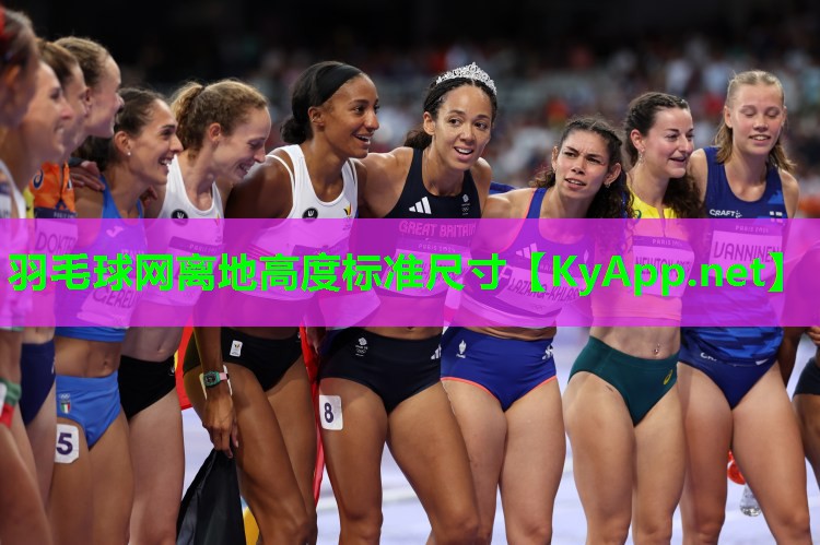 羽毛球网离地高度标准尺寸