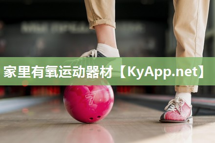 家里有氧运动器材