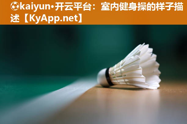 室内健身操的样子描述