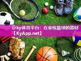 在家练篮球的器材