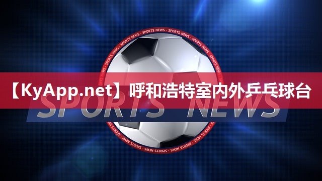 呼和浩特室内外乒乓球台