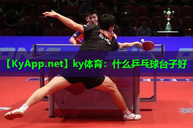 什么乒乓球台子好
