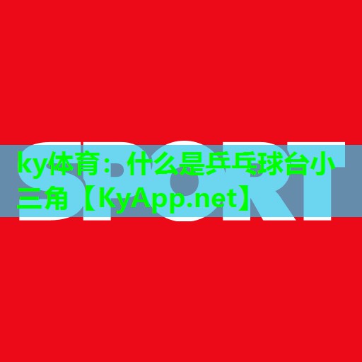 什么是乒乓球台小三角