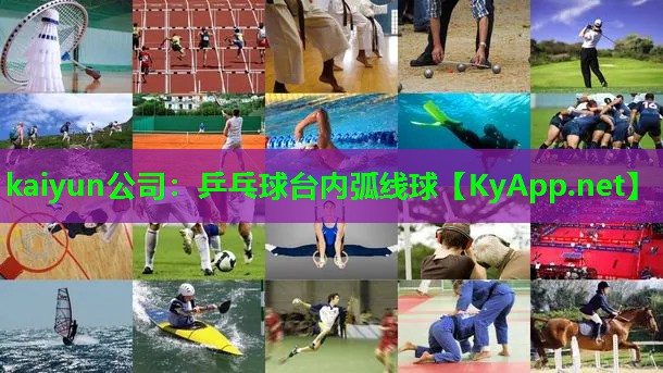 乒乓球台内弧线球