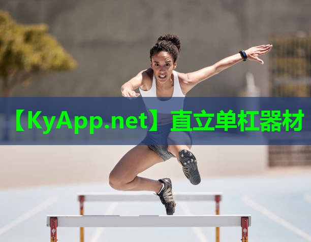 直立单杠器材