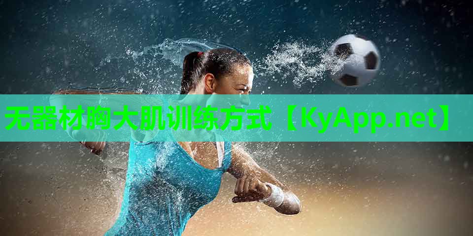 无器材胸大肌训练方式