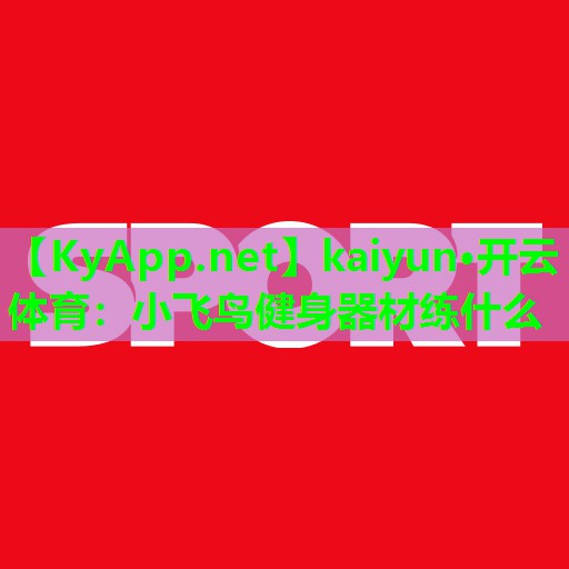 小飞鸟健身器材练什么
