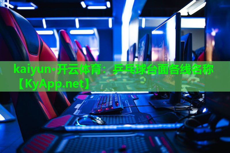 乒乓球台面各线名称