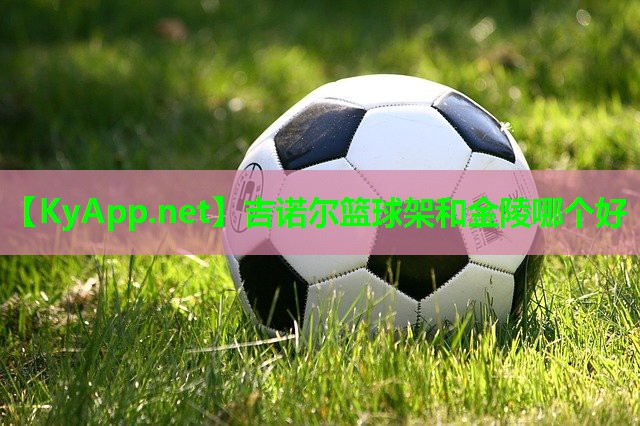 吉诺尔篮球架和金陵哪个好