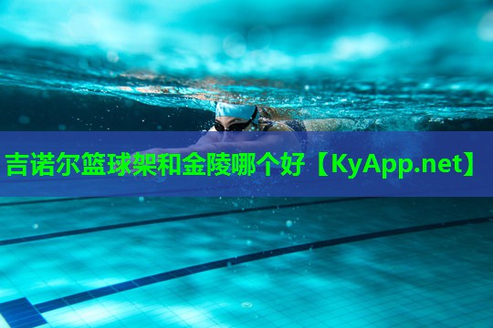 吉诺尔篮球架和金陵哪个好