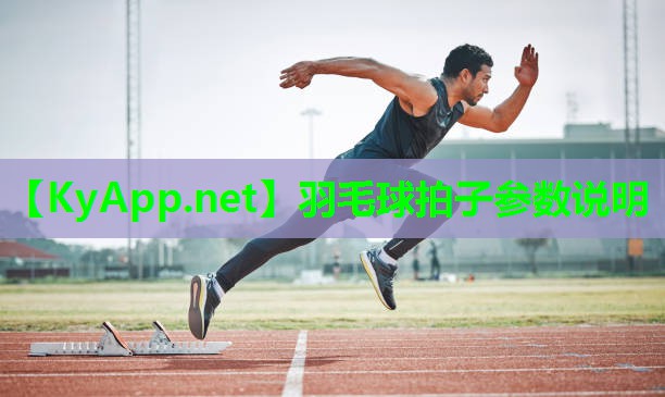 羽毛球拍子参数说明