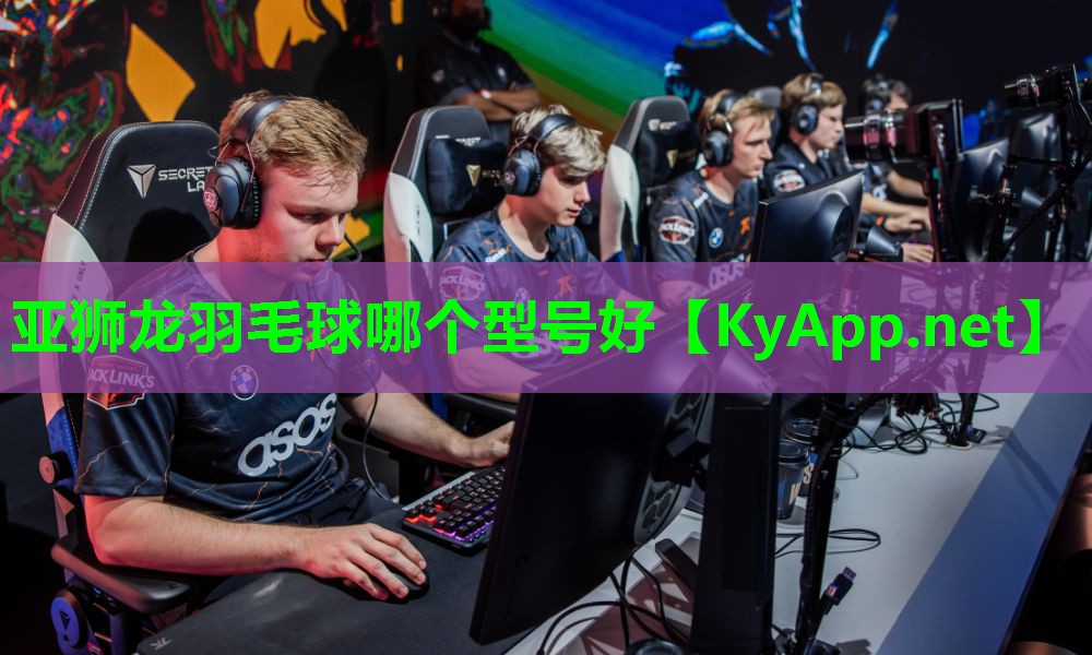 亚狮龙羽毛球哪个型号好