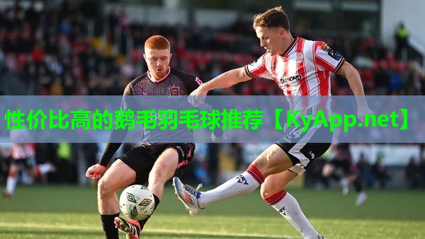 性价比高的鹅毛羽毛球推荐