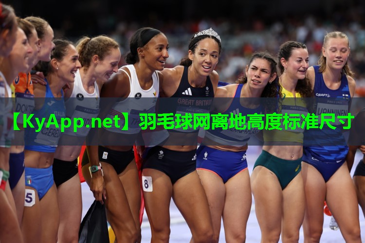 羽毛球网离地高度标准尺寸