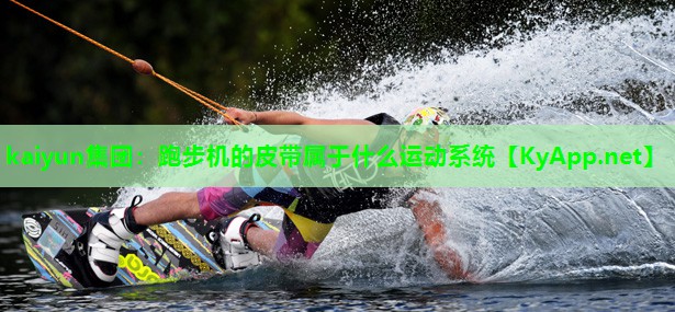 跑步机的皮带属于什么运动系统