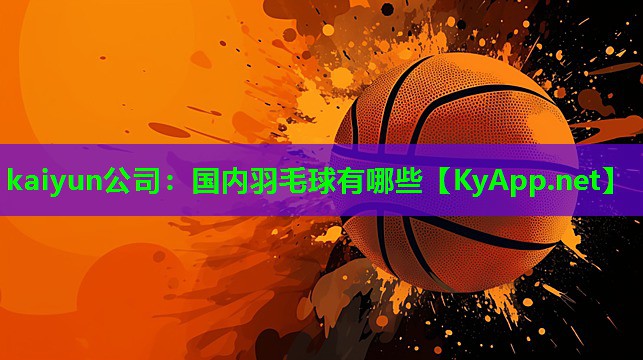 国内羽毛球有哪些
