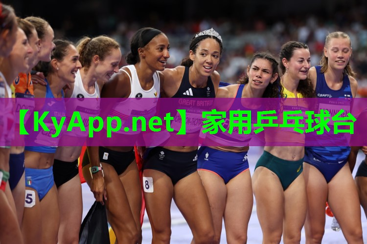 家用乒乓球台