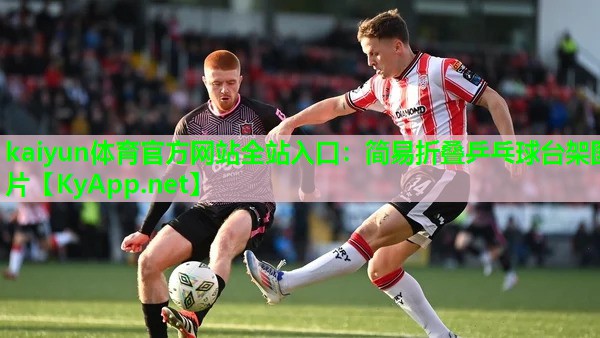 简易折叠乒乓球台架图片
